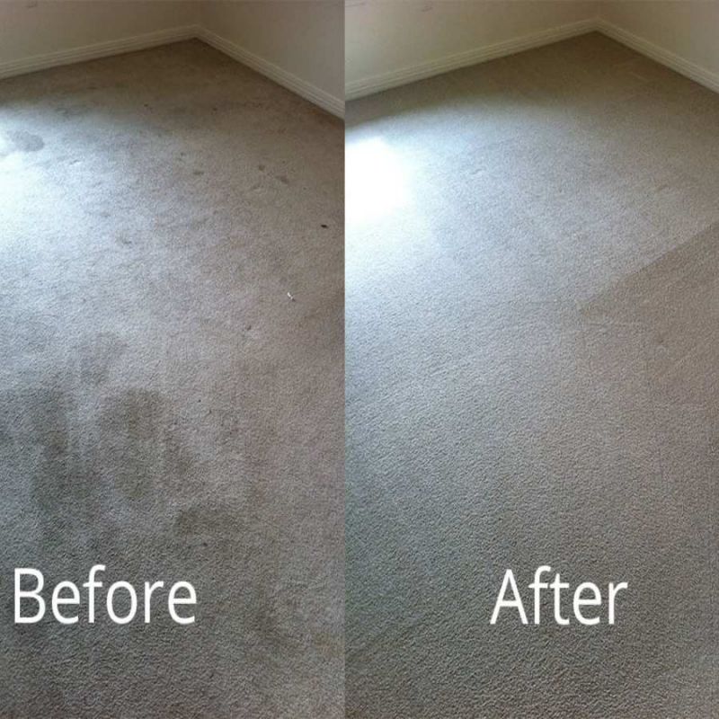 pet odor removal alcoa tn results 3