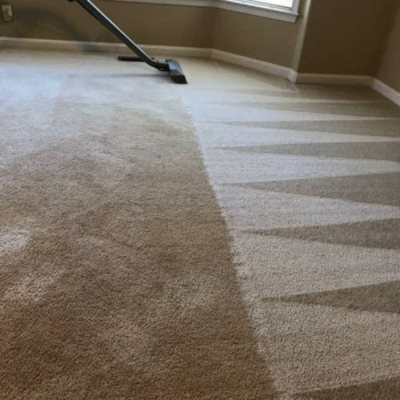 carpet cleaning eagleton-village tn results 2 1