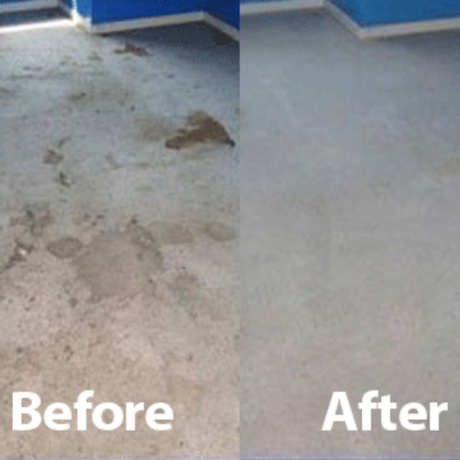 stain removal maryville tn results 3