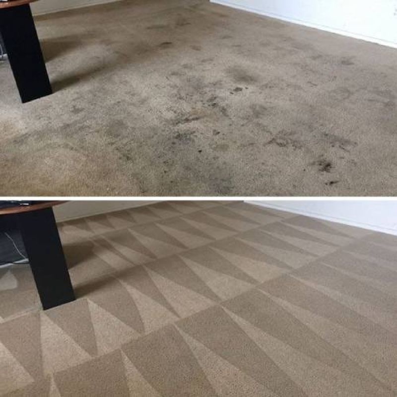 carpet cleaning maryville tn results 1