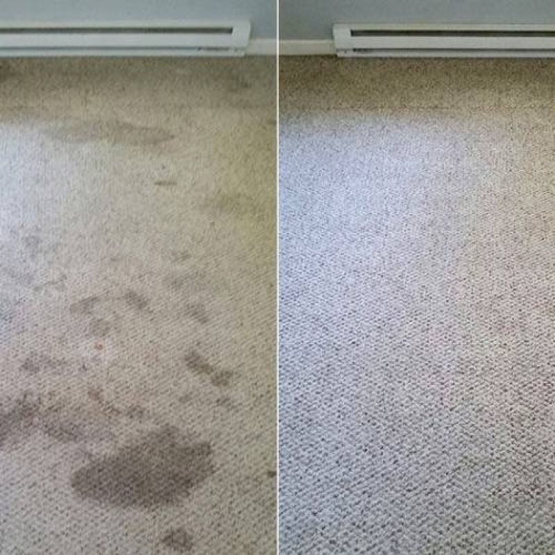 carpet cleaning maryville tn results 2