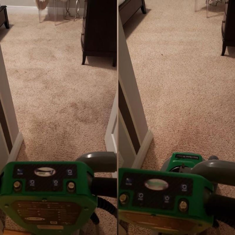 pet odor removal maryville tn results 2