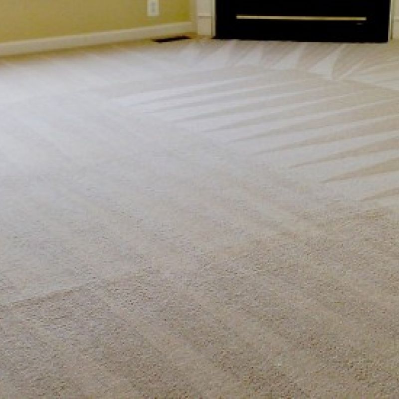 commercial carpet cleaning in maryville result 2