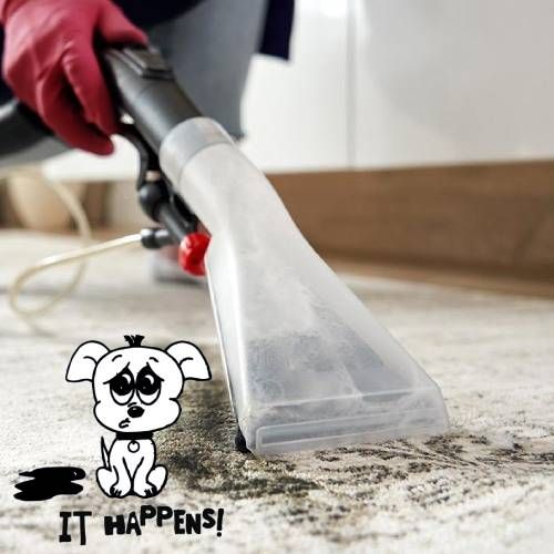 stain removal in Alcoa, TN