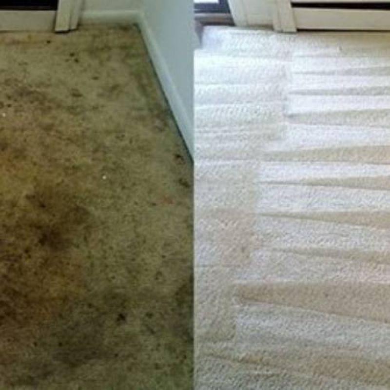 carpet cleaning binfield tn results 3