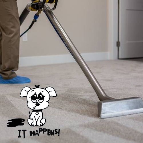 carpet cleaning in maryville tn