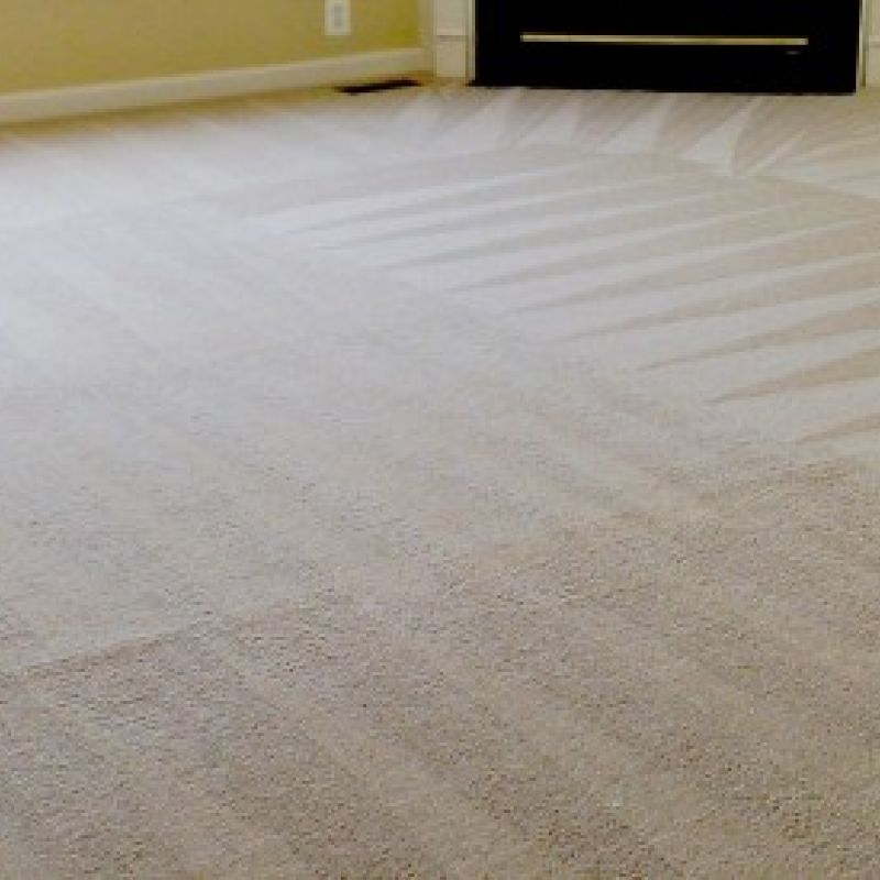commercial carpet cleaning in maryville result 2
