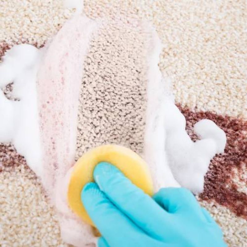 stain removal services