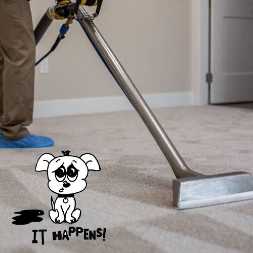 carpet cleaning in eagleton-village tn