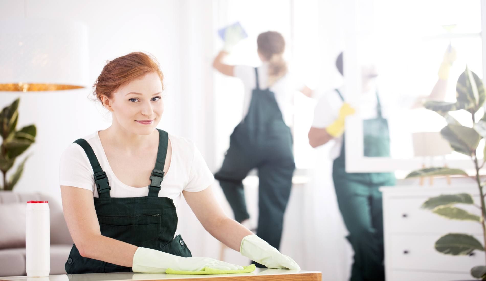 covenant clean team work bg